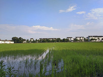 ���µ���