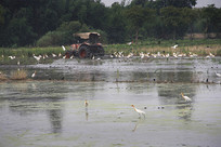 ţ������Ұ