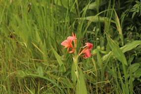 �ݴ����˽�