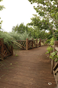 �ɾ���ľ�����ߵ�