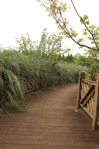 �������ߵ�