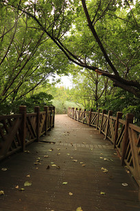 ľ�����ߵ�