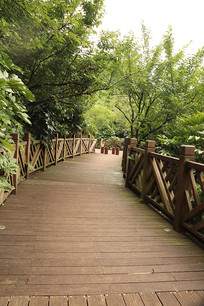 ʵ��ľ�����ߵ�