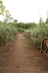 һ��������ľ��������