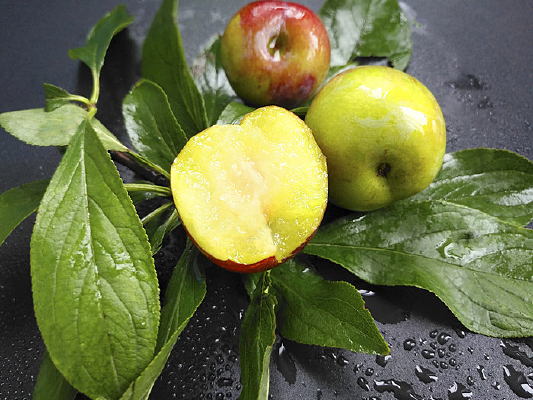 �ó�����