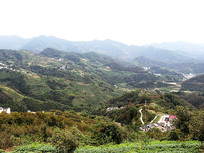 ������ɽ��