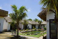 Խ�϶ȼٴ������VIP����