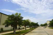 Խ��ͬ������ҵ԰����·����