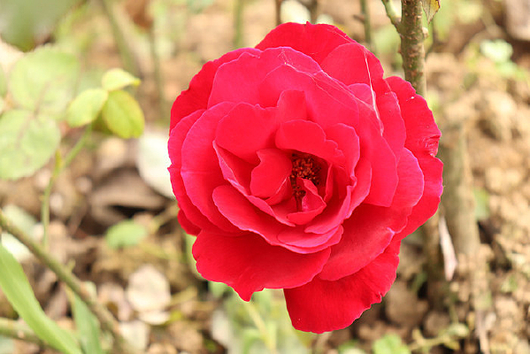 �����¼���