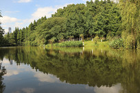 ɽ�ֺ�ˮ��ӳ