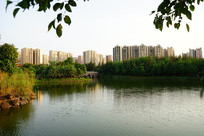 ˮ��¥�̽���