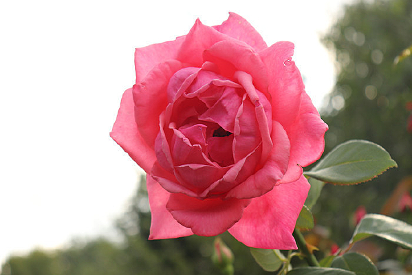 һ���¼���