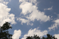 һƬ����Ʋ�