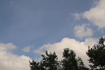 Զ������Ʋ�