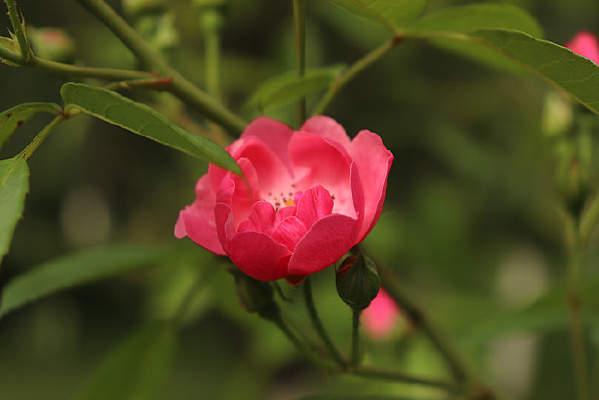 �¼�����д