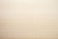 ��ש���ϻ���