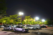 ����ͣ����