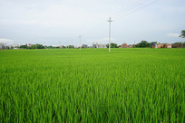 ũ���ﵾ��