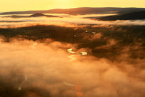 ʪ�غ�����������