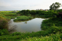 ��Ұ����