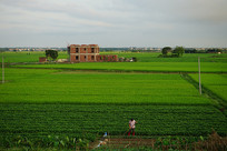 �������