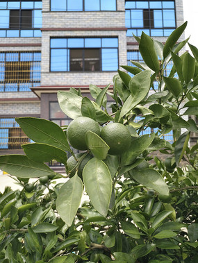 �������԰