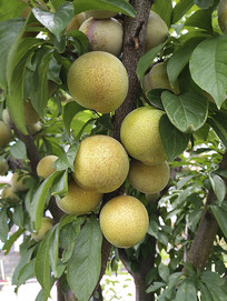 �ӻ�����