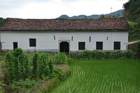 ���´�����