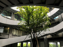 ���ֱ�����֮��