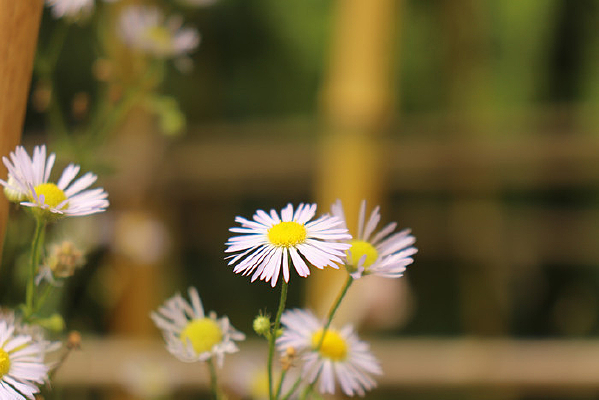 ����һ����