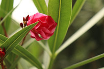 ŷ�޼�����