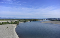 ��ɫ�ĺ���