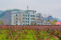 �Ϻӿڰ칫��¥