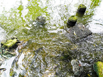 ˮ�������С�� 