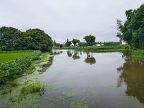 ����С�Ӻ�ˮ����