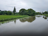 ÷���ڼ���С��