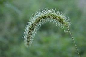 ��β����д