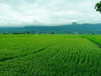 ����ʱ�ڵ�����