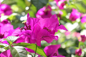 �������ǻ�