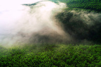 ɽ�ֳ�������