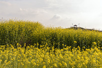 ����µ��Ͳ˻���