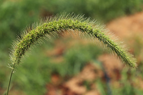 ��β����д