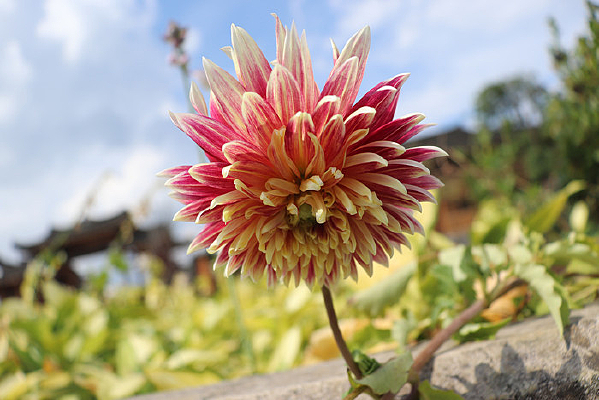 С�������