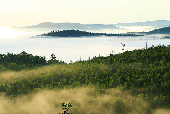 ���˰����ֺ�����