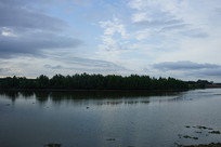 ���ߺ�����