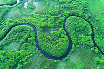 �������غ���ɫ�ݵ����