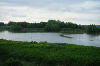 �����ְ���