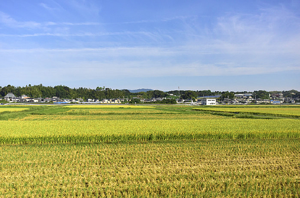 �����ũ��