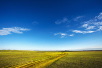 ����ͽ�ƵĲ�ԭ