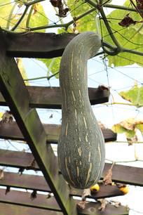 ʵ�Ĺ�����